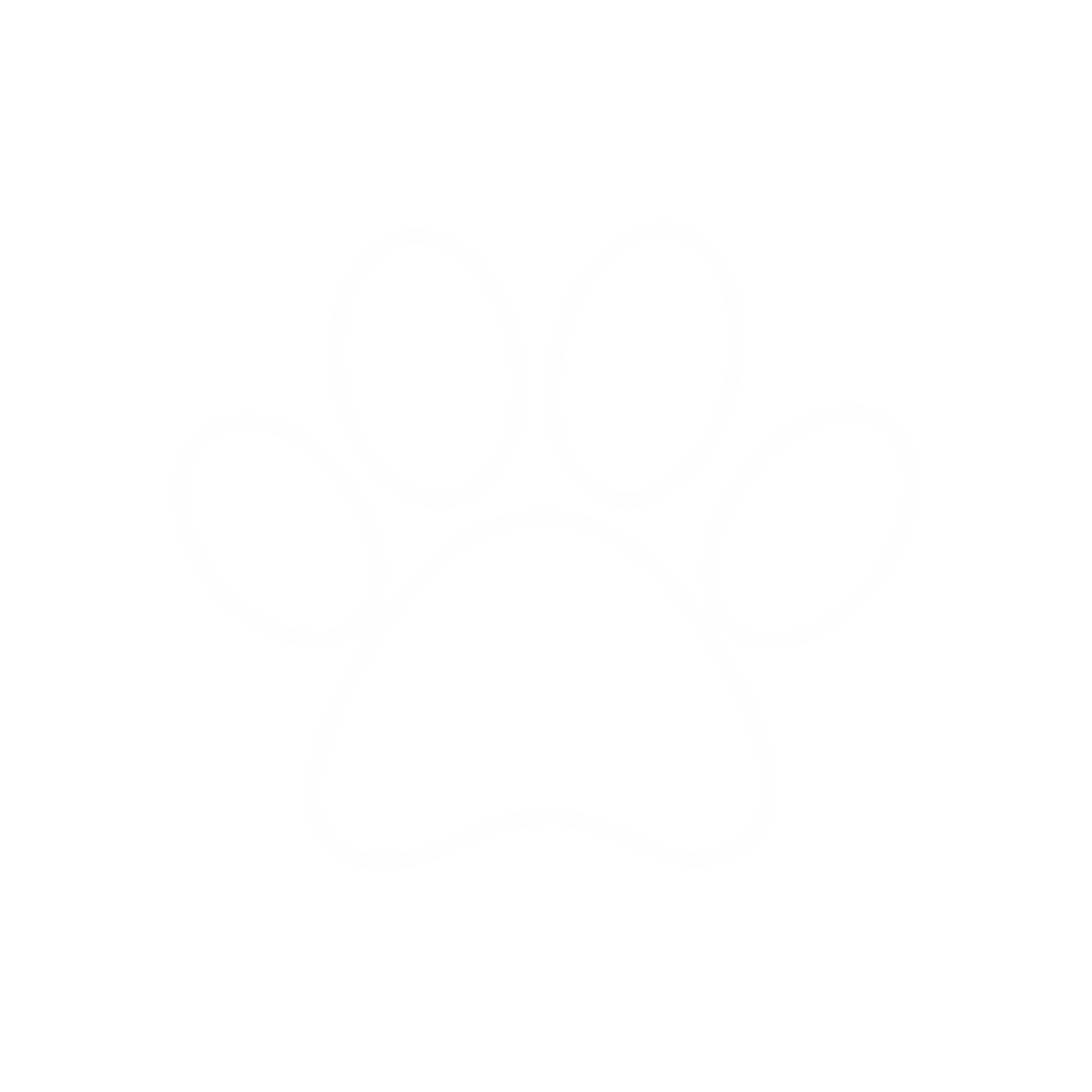 Paw